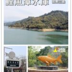 即時熱門文章：苗栗三義旅遊｜『鯉魚潭水庫觀景台』假日踏青賞美麗水庫及享受美味小吃