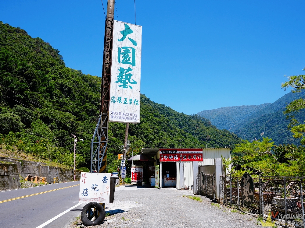 南投仁愛美食｜『天下極品 炸杏鮑菇』往清境路上必停小攤！附設停車場的現炸杏鮑菇&現煮黑木耳汁！