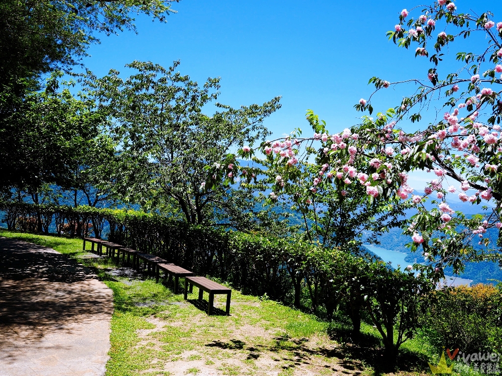 南投仁愛美食｜『星嵐拉麵』近清境農場的高海拔拉麵店～親子友善還有桌遊和盪鞦韆～週五,六,日限定自家製麵拉麵！