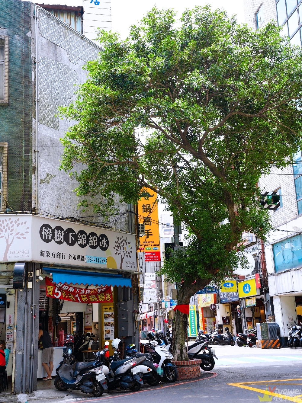 桃園中壢美食｜『榕樹下綿綿冰』中壢老字號冰品專賣！芒翻了！新鮮芒果粒+三倍芒果冰！芒果的最高饗宴！