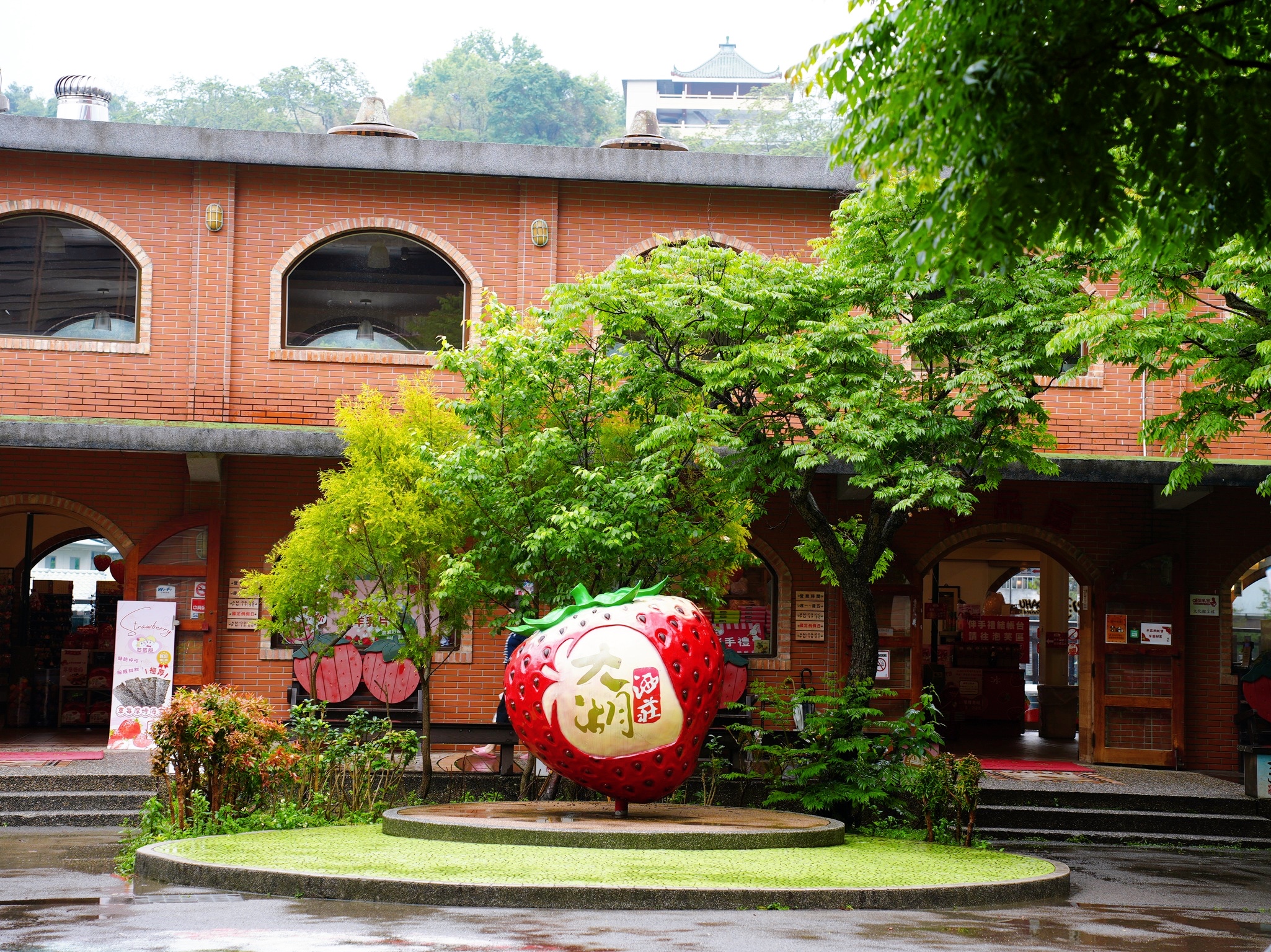 苗栗大湖一日遊推薦｜牛宮牛肉麵必吃！大湖酒莊隨手小吃+卓蘭咖啡廳+熱門伴手禮完整攻略！