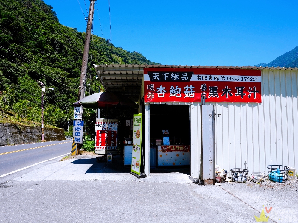 南投仁愛美食|『天下極品 炸杏鮑菇』往清境路上必停小攤!附設停車場的現炸杏鮑菇&現煮黑木耳汁! 南投仁愛美食|『天下極品 炸杏鮑菇』往清境路上必停小攤!附設停車場的現炸杏鮑菇&現煮黑木耳汁!