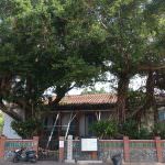 即時熱門文章：台南安平旅遊景點｜『德商東興洋行』充滿異國風情-有吃有喝又能免費參觀(2017年新增)