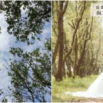 即時熱門文章：苗栗頭份旅遊景點｜適合外拍的大自然美景『頭份後花園-楓香林』(文內有婚紗照參考)