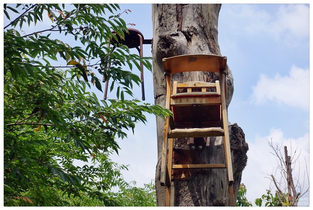 新竹寶山旅遊景點｜『種子星球來作客』Instagram熱門打卡點！用漂流木和廢棄家具打造出的地景藝術！