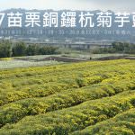 即時熱門文章：苗栗銅鑼旅遊景點｜『2017年苗栗銅鑼杭菊芋頭節』最佳賞杭菊觀景台&向日葵花海&周邊美食推薦（2017年11月10日現場花況&影片）