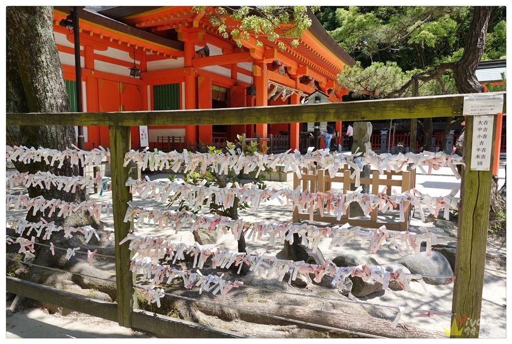 日本福岡旅遊景點｜『住吉神社』日本重要文化財-祈禱開運除災,航佑船舶的神靈!