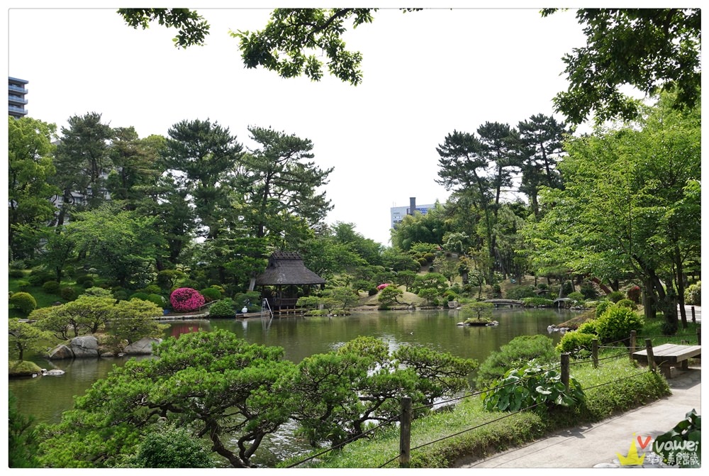 日本廣島旅遊景點｜『縮景園』日本歷史公園100選-超美的日本庭園景點!