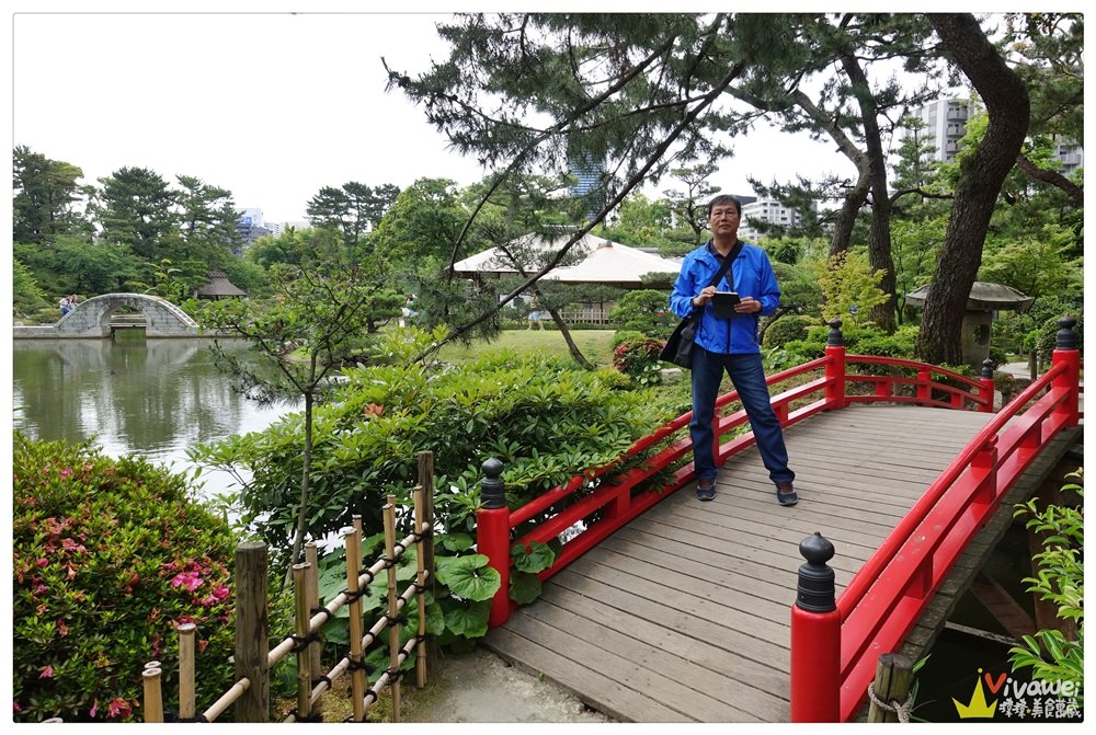 日本廣島旅遊景點｜『縮景園』日本歷史公園100選-超美的日本庭園景點!