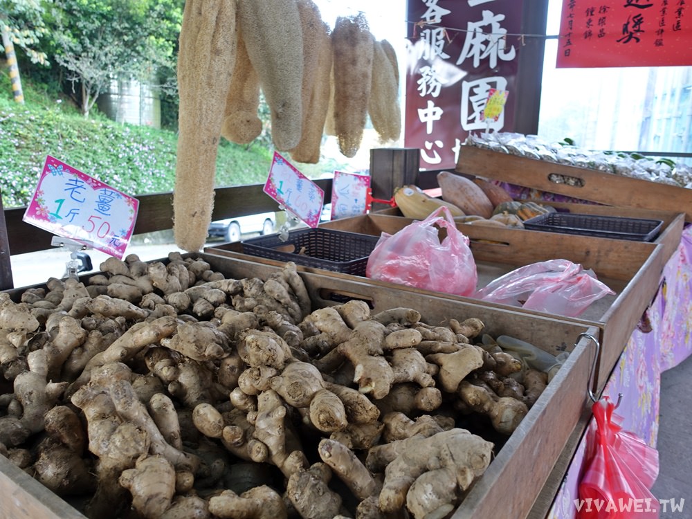 苗栗大湖旅遊景點推薦｜『悠遊小鎮玩大湖』苗栗好好玩～在地人帶你一日輕旅行~