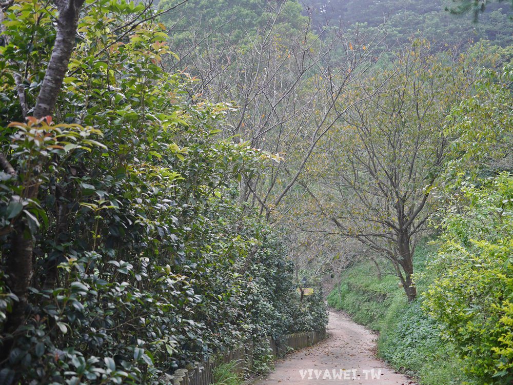 苗栗大湖旅遊景點推薦｜『悠遊小鎮玩大湖』苗栗好好玩～在地人帶你一日輕旅行~