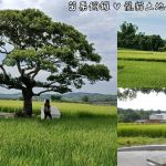 即時熱門文章：苗栗銅鑼旅遊景點｜『龍貓土地公』熱門IG打卡景點!藏身在田中央的田心伯公廟!