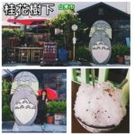 即時熱門文章：台東市美食｜『桂花樹下』超可愛的龍貓陪你一起吃傳統刨冰