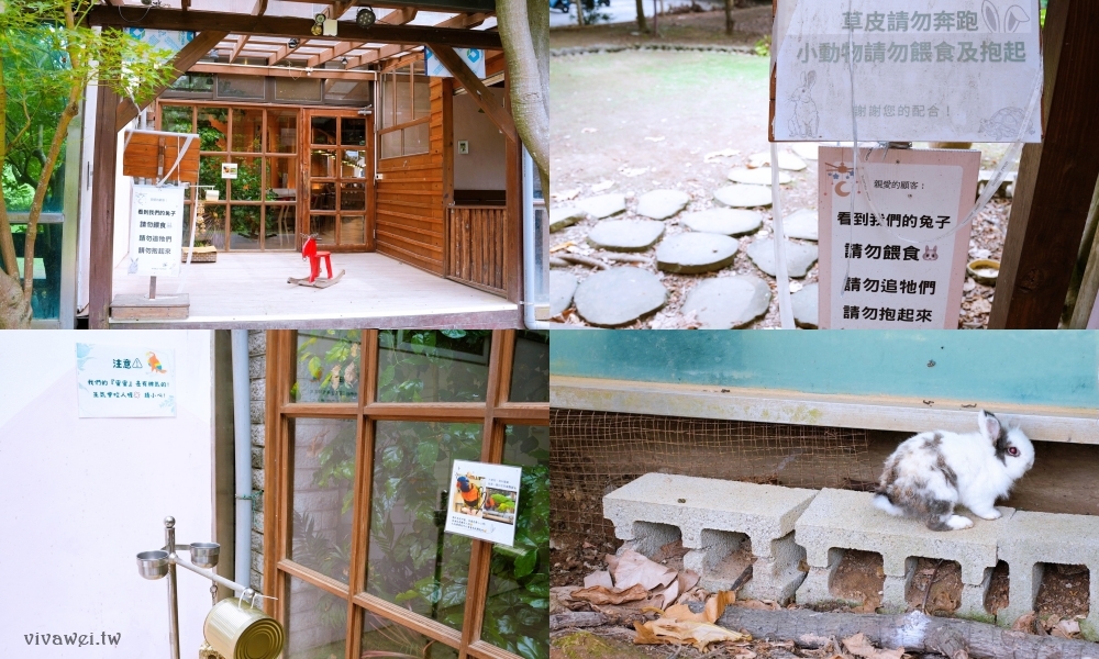 桃園中壢美食｜『Mint Pasta 中原店』高CP值的義大利麵&焗烤&手工窯烤披薩～還有貼心供應素食餐點！