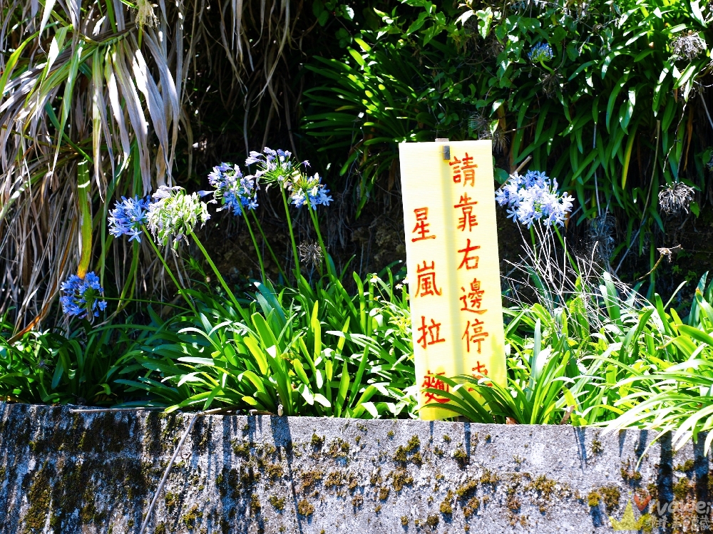 南投仁愛美食｜『星嵐拉麵』近清境農場的高海拔拉麵店～親子友善還有桌遊和盪鞦韆～週五,六,日限定自家製麵拉麵！