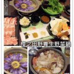 即時熱門文章：台北松山美食｜『櫻之田野養生野菜鍋』南京三民站的野菜火鍋吃到飽餐廳(素食/蔬菜/無障礙)