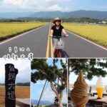 即時熱門文章：台東池上景點｜『伯朗大道』在綠油油的稻田旁悠閒地騎單車小旅行