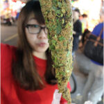 即時熱門文章：台北內湖美食｜『內湖737巷豬大郎豬血糕』人氣排隊小吃正宗創始店(港前捷運站)