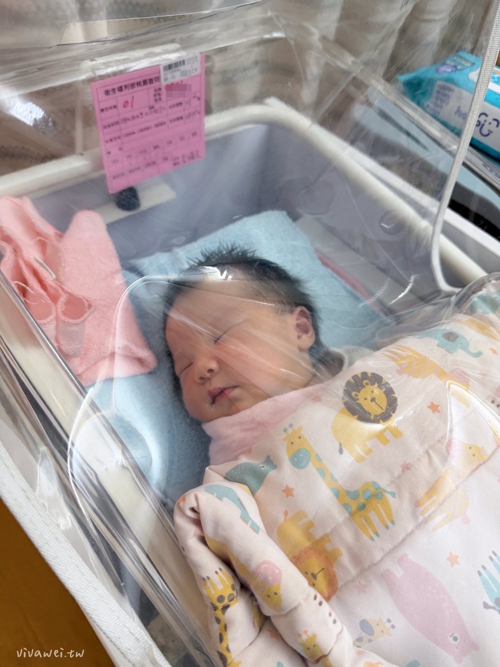 桃園醫院剖腹產紀錄＆生產費用｜38週+5天二寶湯圓報到！呂理政醫師接生～單人病房、術後止痛、產婦餐花費全紀錄！