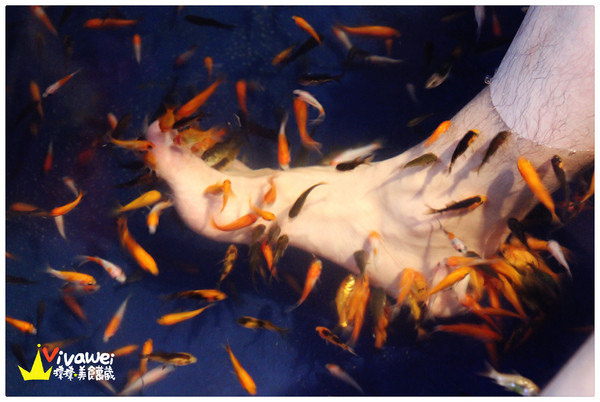 湯圍溝礁溪溫泉公園(WuanChuanGo Park)：宜蘭礁溪鄉｜跨年放仙女棒以及溫泉魚咬腳體驗『湯圍溝礁溪溫泉公園』
