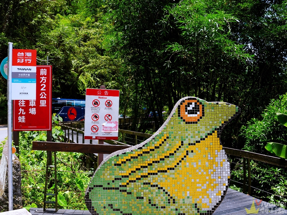 南投旅遊景點｜『水蛙頭步道』日月潭必遊景點！日月潭九蛙疊像超療癒可愛！